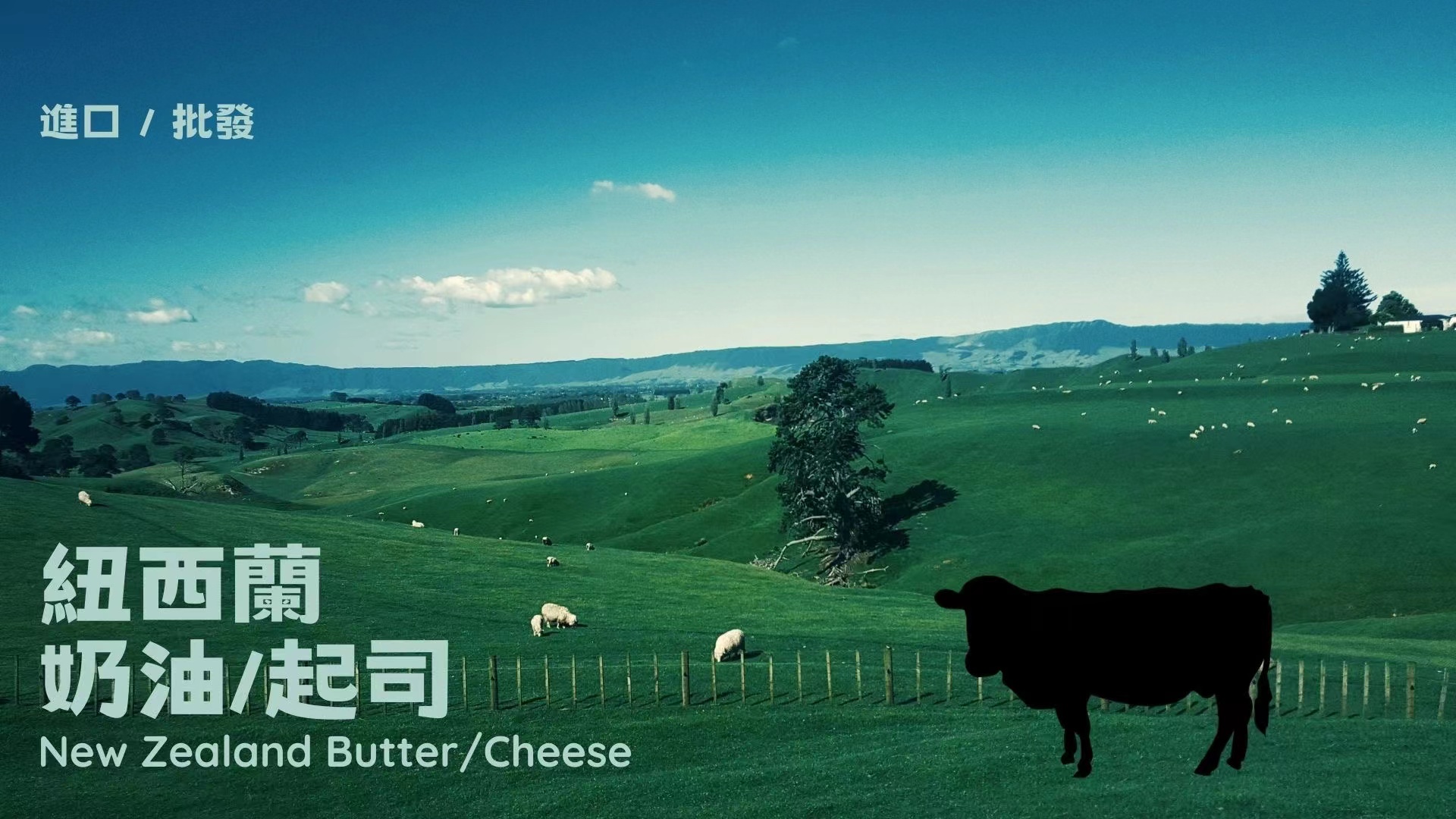 WeChat 圖片 20230912114027